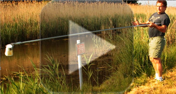 Click to see the video